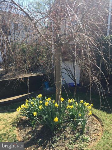 972 N QUANTICO ST, Arlington, VA 22205