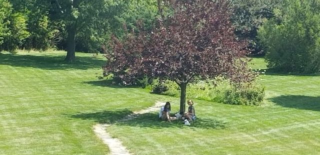 11353 Wentworth Place, Belvidere, IL 61008