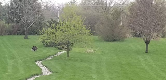 11353 Wentworth Place, Belvidere, IL 61008