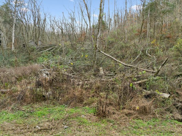 0 Long Branch Rd, Lancaster, TN 38569