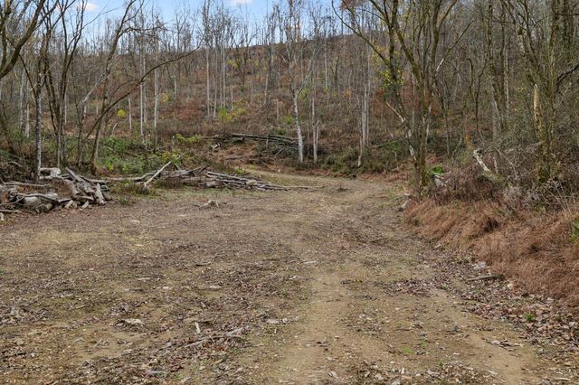 0 Long Branch Rd, Lancaster, TN 38569