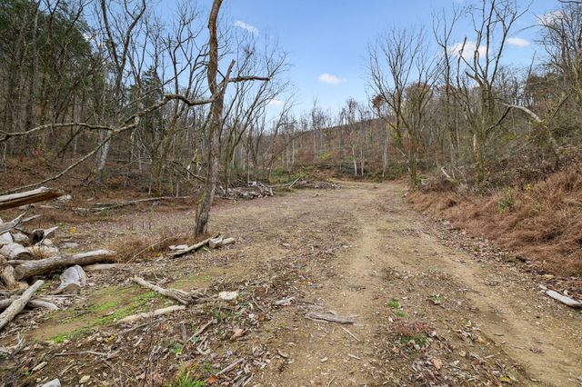 0 Long Branch Rd, Lancaster, TN 38569