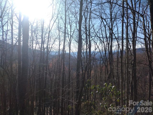 241 Bloom Trail, Sylva, NC 28779