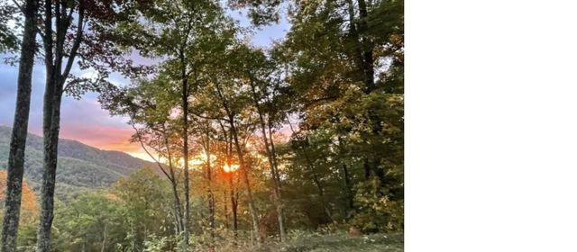 241 Bloom Trail, Sylva, NC 28779