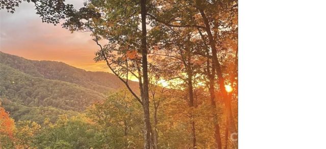 241 Bloom Trail, Sylva, NC 28779