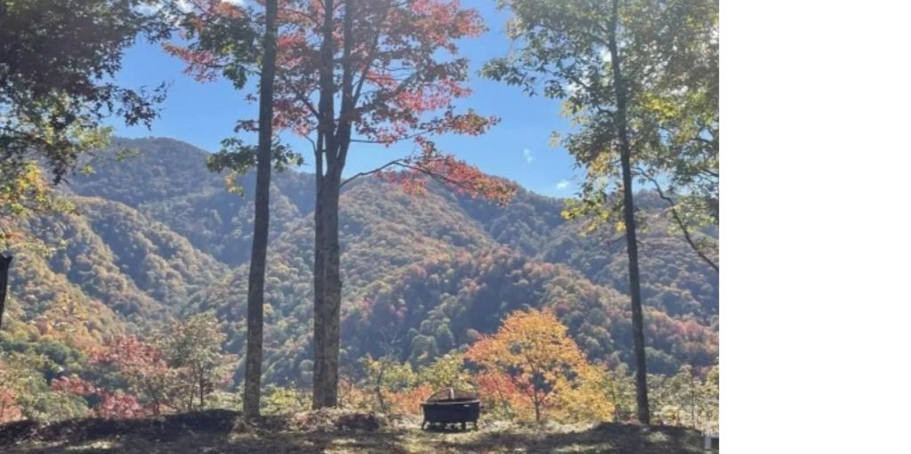 241 Bloom Trail, Sylva, NC 28779