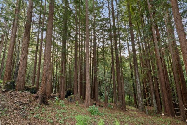 113 Lauren Circle, Scotts Valley, CA 95066