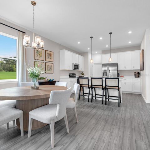 10131 MORNING MEADOWLARK TRAIL, Parrish, FL 34219