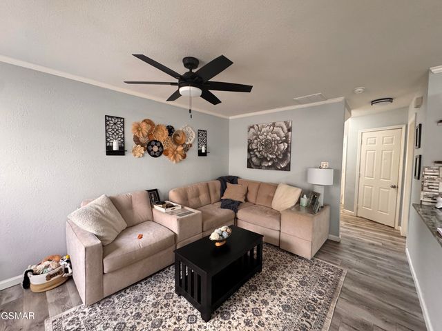 1315 Mountain Meadows Way, Sevierville, TN 37862