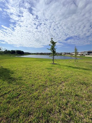 12490 SWEET ANGEL AURA WAY, Parrish, FL 34219
