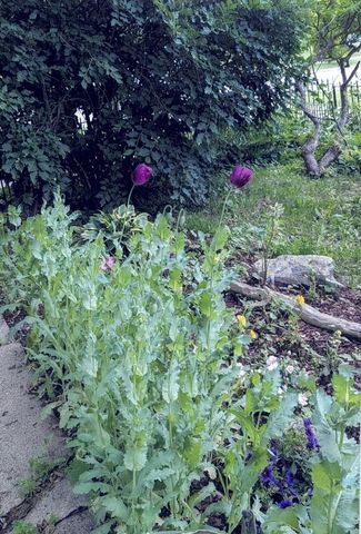 34 S Terrace N, Fargo, ND 58102