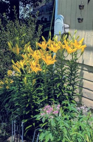 34 S Terrace N, Fargo, ND 58102