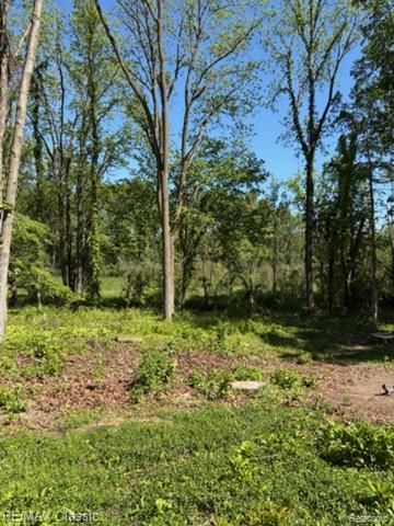 0000 Old Mill Road, Hamburg Township, MI 48169
