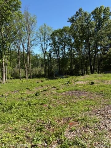 0000 Old Mill Road, Hamburg Township, MI 48169