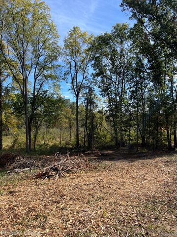 0000 Old Mill Road, Hamburg Township, MI 48169