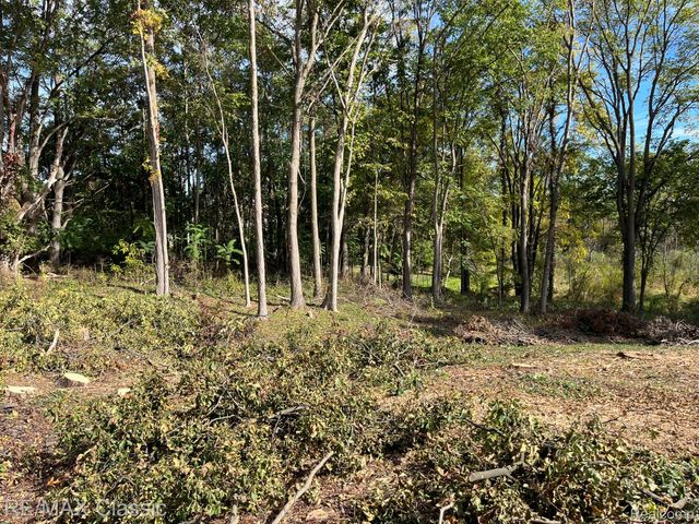 0000 Old Mill Road, Hamburg Township, MI 48169