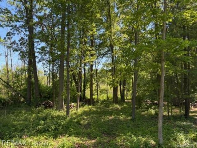 0000 Old Mill Road, Hamburg Township, MI 48169