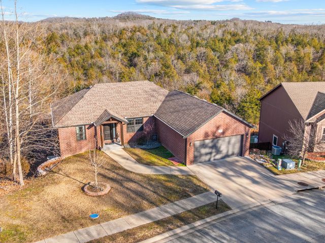 101 Jury Lane, Branson, MO 65616