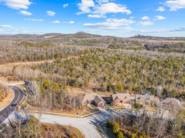 101 Jury Lane, Branson, MO 65616