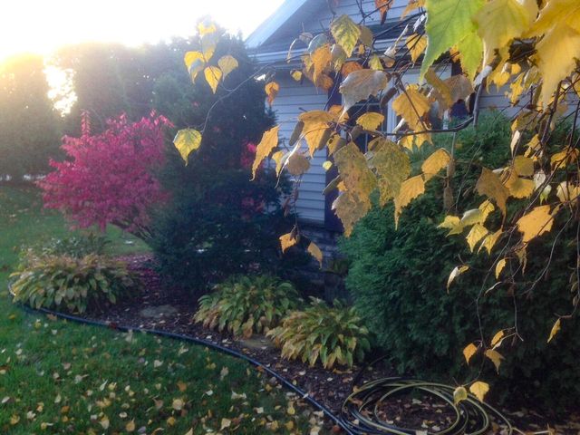 1151 Glacier PASS, Slinger, WI 53086