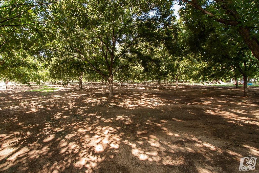 Image 36 of property listing at 16753 S Us Highway 277, Christoval, TX 76935