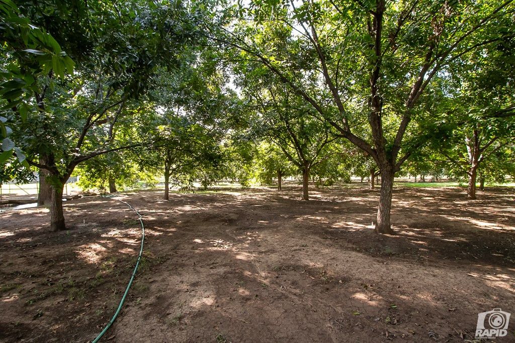 Image 39 of property listing at 16753 S Us Highway 277, Christoval, TX 76935