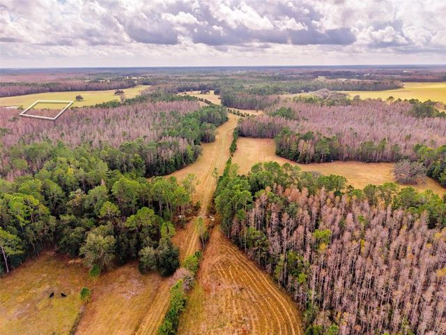 LINE BLOCK ROAD, Clermont, FL 34714