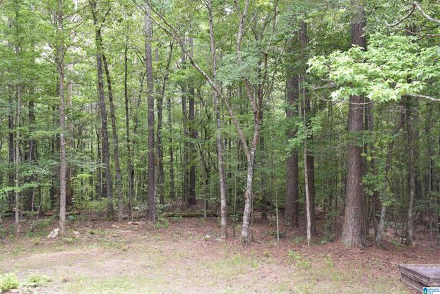 115 DEER RUN DRIVE, Sylacauga, AL 35150