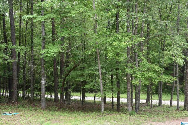 115 DEER RUN DRIVE, Sylacauga, AL 35150