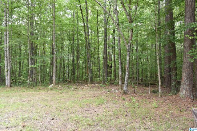 115 DEER RUN DRIVE, Sylacauga, AL 35150