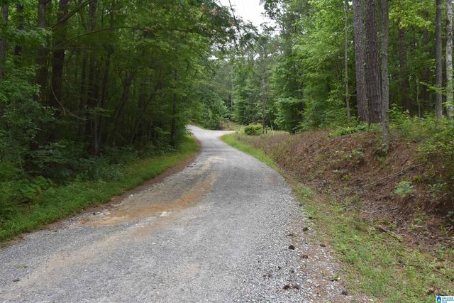 115 DEER RUN DRIVE, Sylacauga, AL 35150