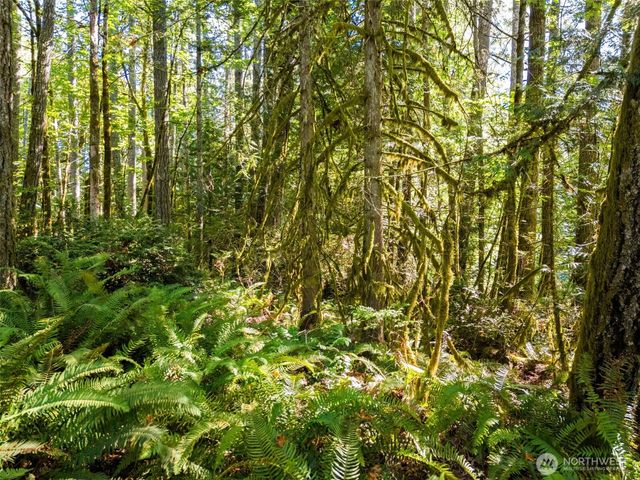 0 Tenino Drive W, Bremerton, WA 98312