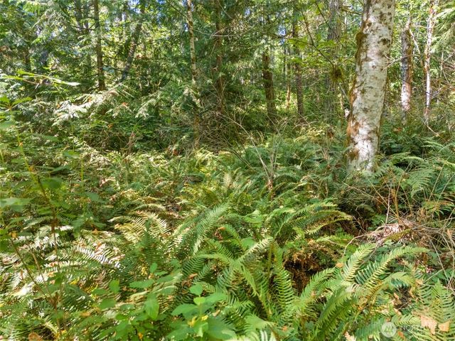 0 Tenino Drive W, Bremerton, WA 98312