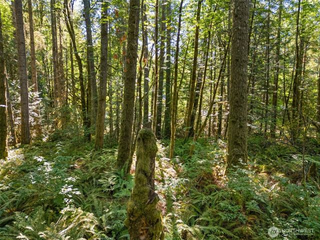 0 Tenino Drive W, Bremerton, WA 98312