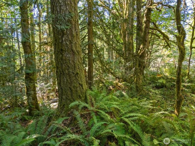 0 Tenino Drive W, Bremerton, WA 98312