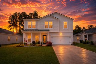 287 Firewheel Court, Summerville, SC 29486