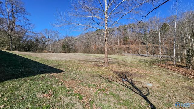 21491 Cairo Hollow Road, Athens, AL 35614