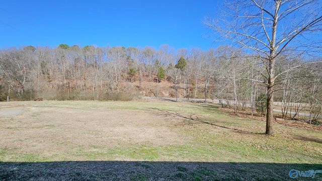 21491 Cairo Hollow Road, Athens, AL 35614