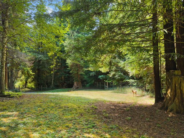 1115 Hunts Drive, Mckinleyville, CA 95519