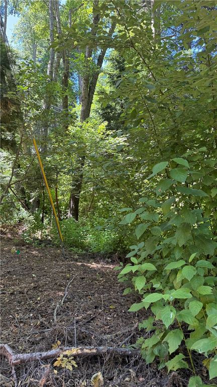 0 Rainbow, Lake Arrowhead, CA 92352