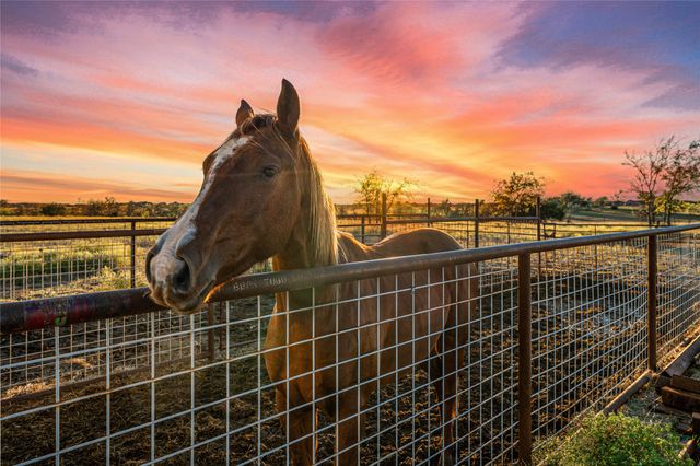 318 CR 3355, Valley Mills, TX 76689