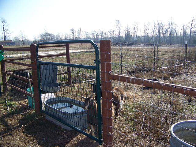 12409 State Route E, West Plains, MO 65775