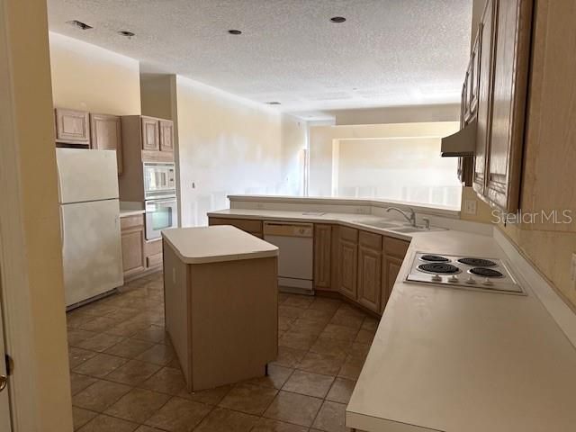 329 BOXWOOD DRIVE, Davenport, FL 33837