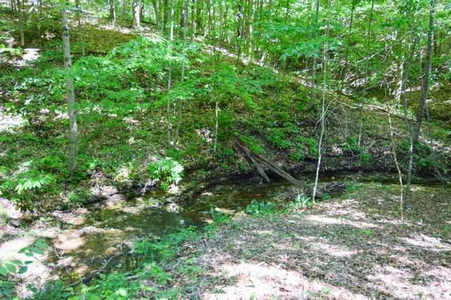 421 Marlin Ln, Westmoreland, TN 37186