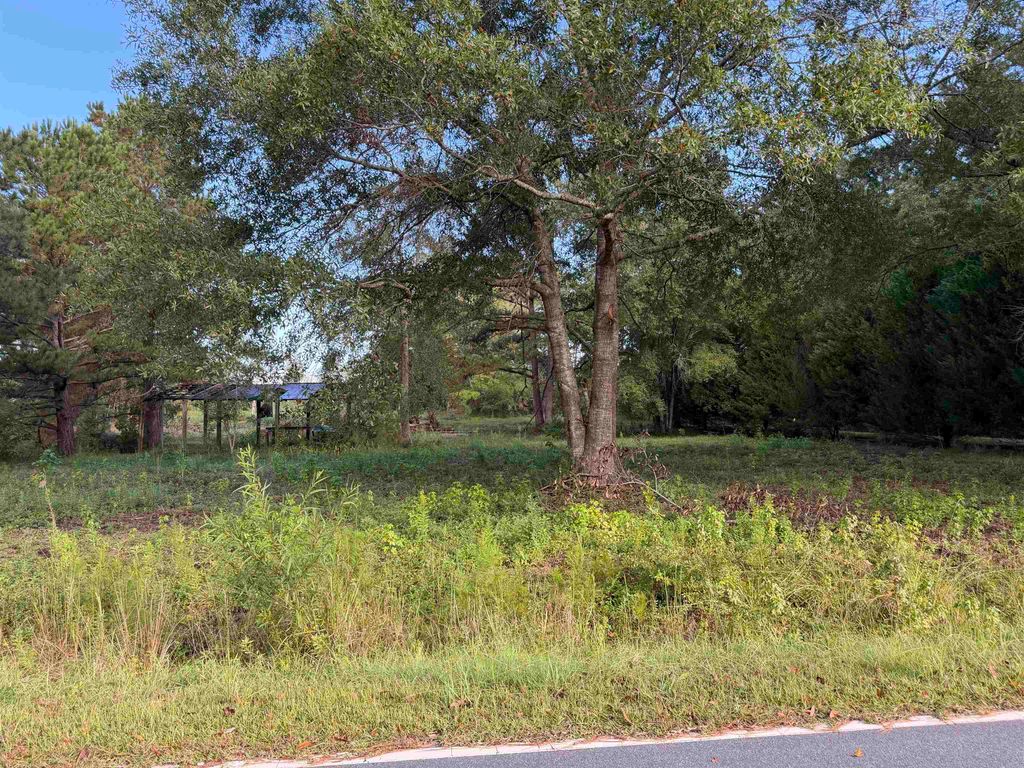 Tract 3 Wise Rd., Conway, SC 29526 — exterior