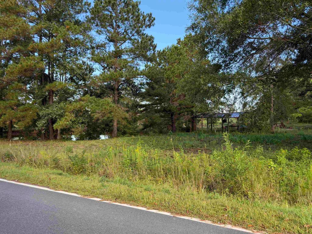 Tract 3 Wise Rd., Conway, SC 29526 — photo 2