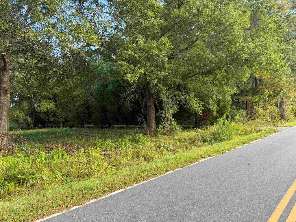 Tract 3 Wise Rd., Conway, SC 29526 — photo 3