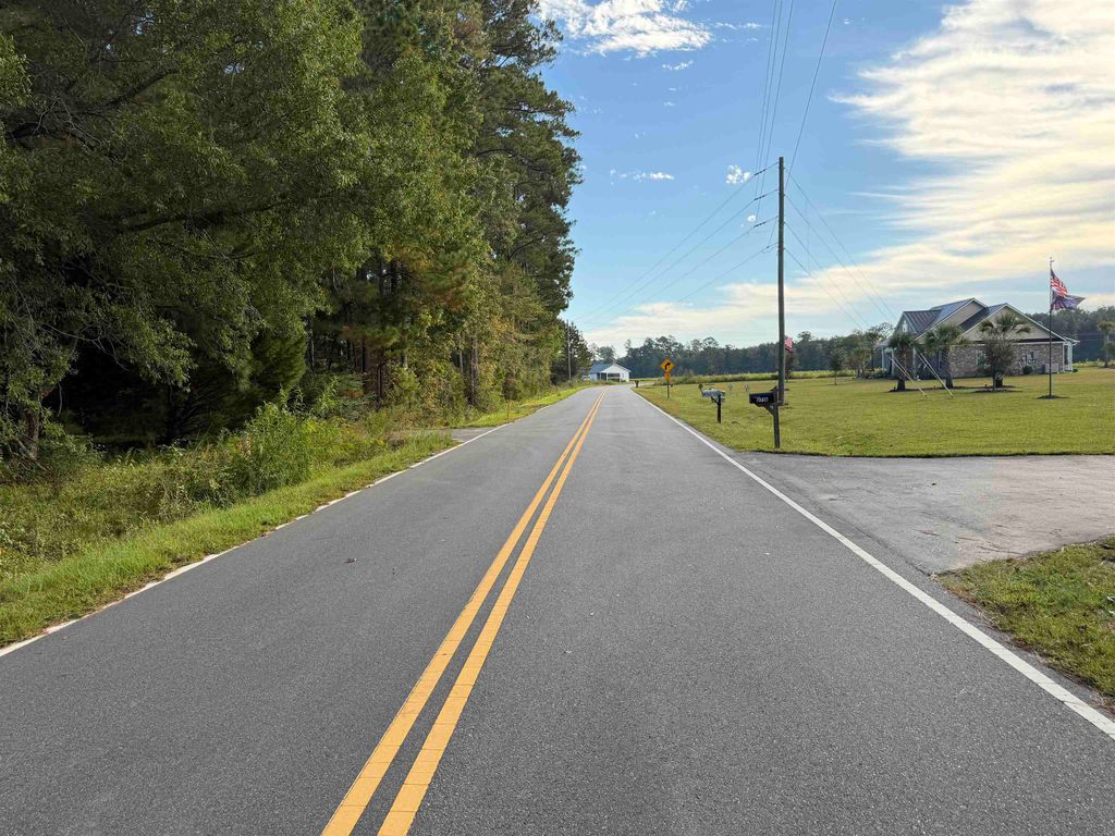 Tract 3 Wise Rd., Conway, SC 29526 — photo 4