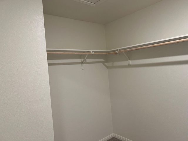 624 Gemsbok DR, Hutto, TX 78364