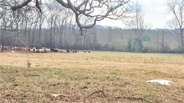8117 Sandy Cross Road, Carnesville, GA 30251